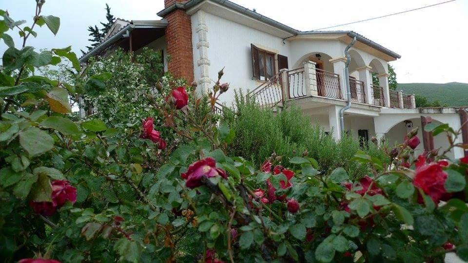 Apartment "Ane" Krusevo  Экстерьер фото